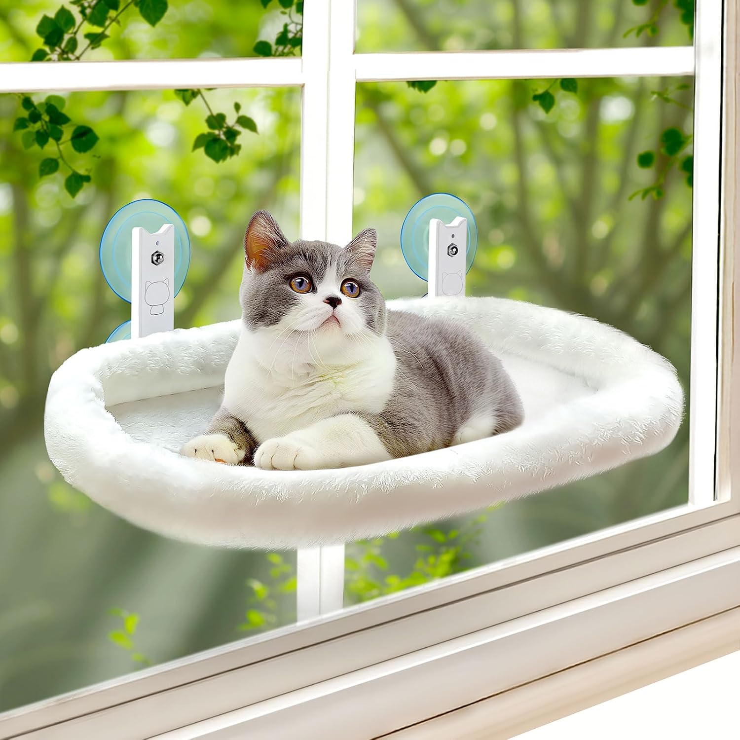 Cat Window Perch - Foldable Cat Window Perch, Cordless Hammock
