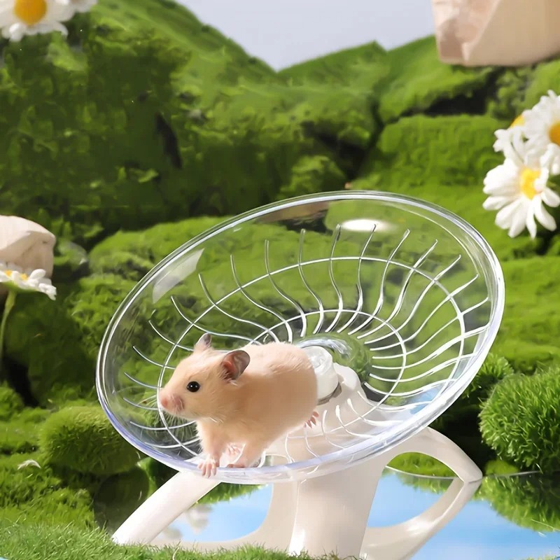Small Pet Silent Running Pract - Hamster Cage Wheel ulasan dan harga