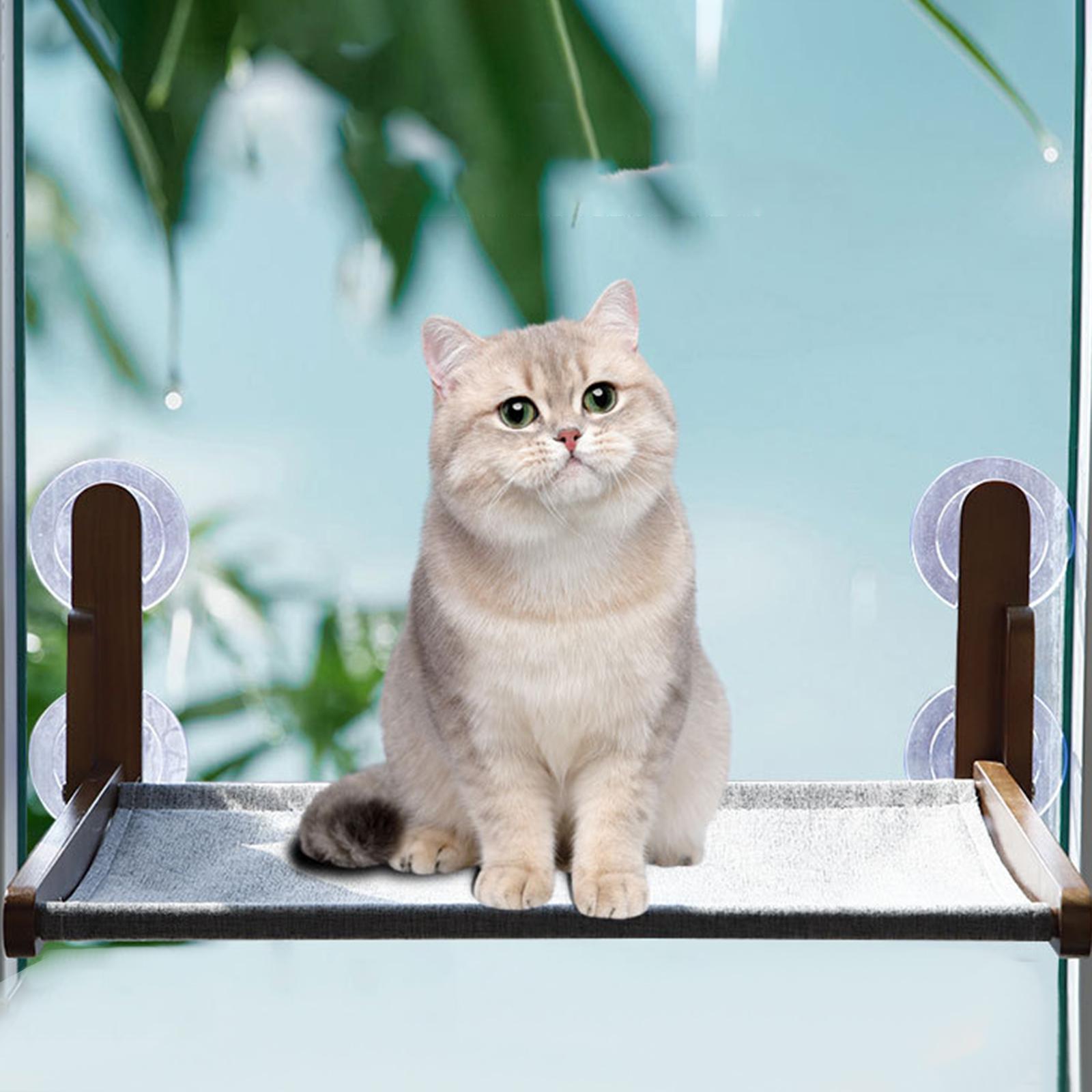 Cat Hammock for Window Foldabl - Cat Window Perch ulasan dan harga