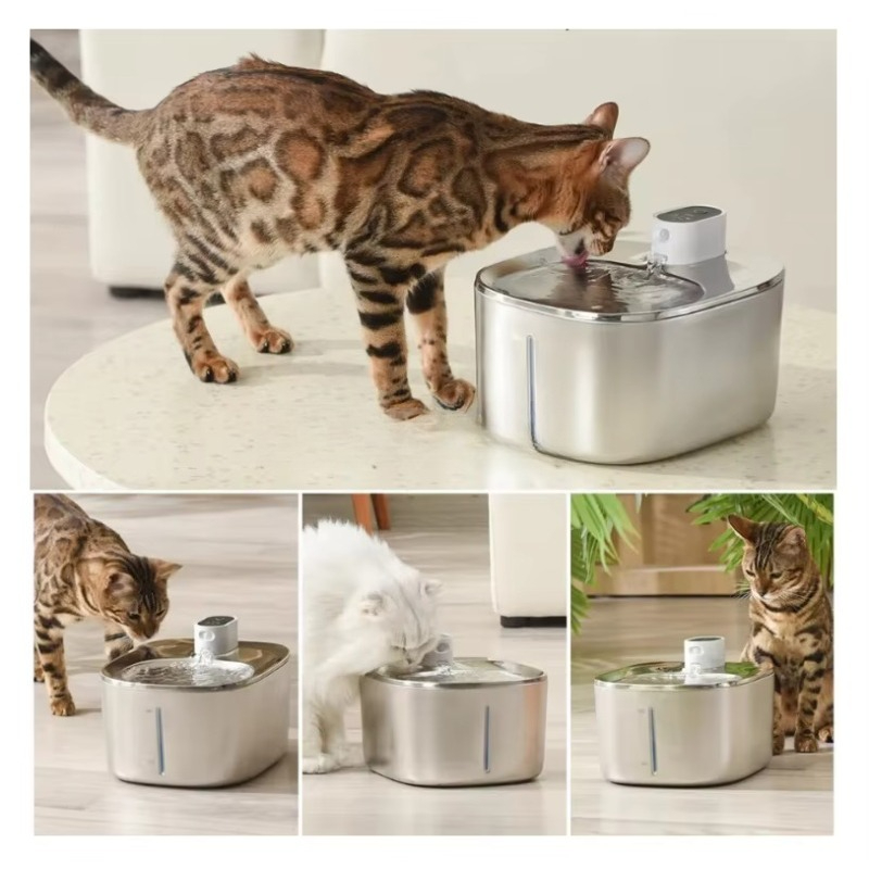 Stainless Steel Pet Water Bowl - Pet Water Fountain ulasan dan harga