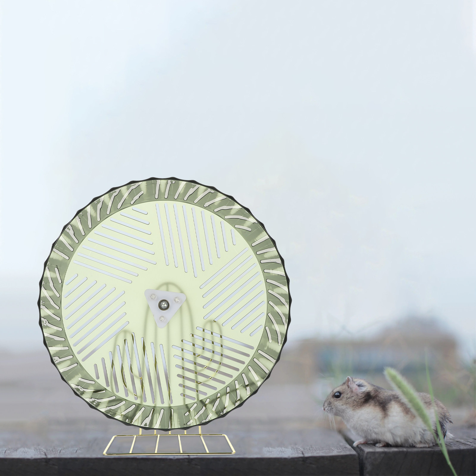 Lovely Appearance Stable Hamst - Hamster Cage Wheel ulasan dan harga