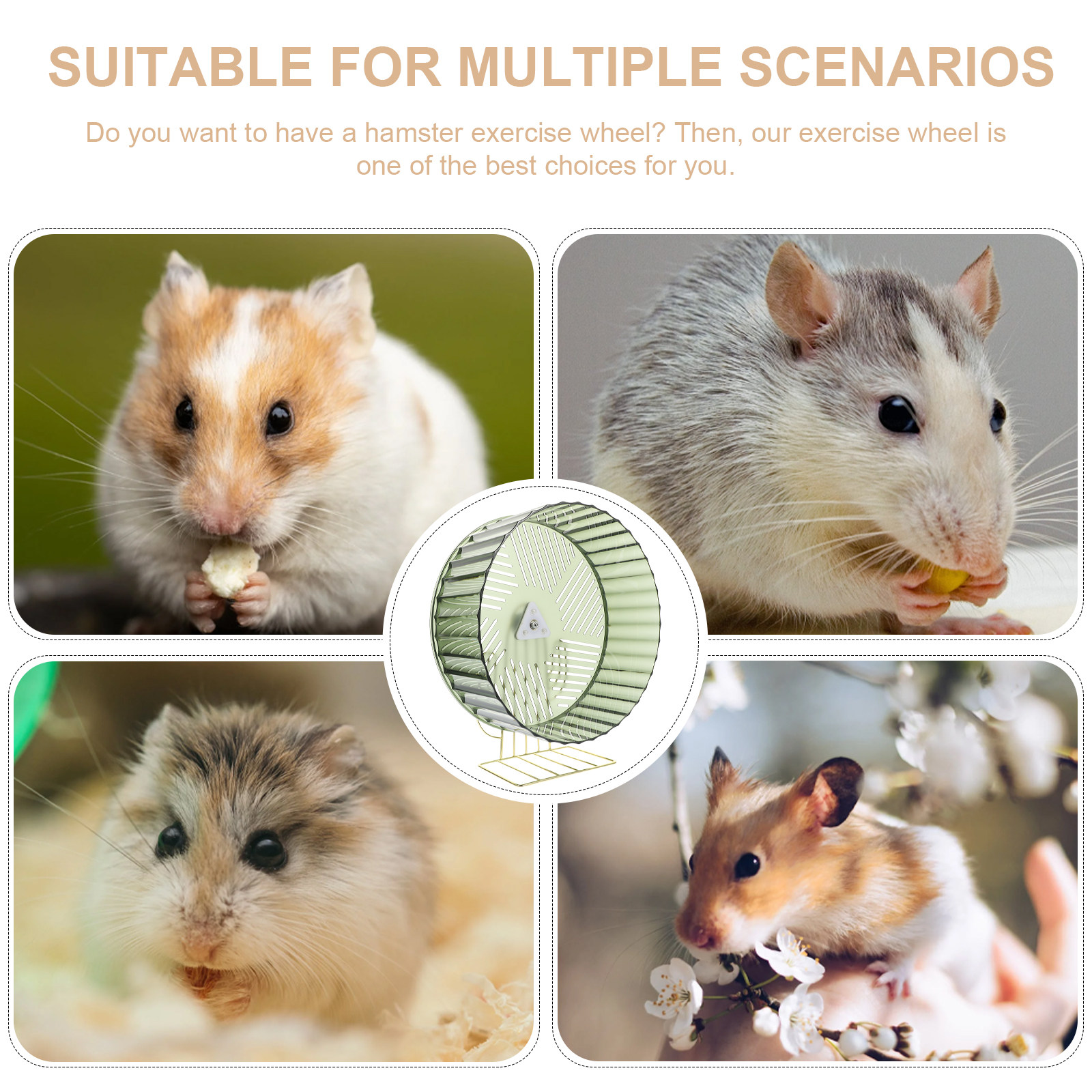 Lovely Appearance Stable Hamst - Hamster Cage Wheel ulasan dan harga