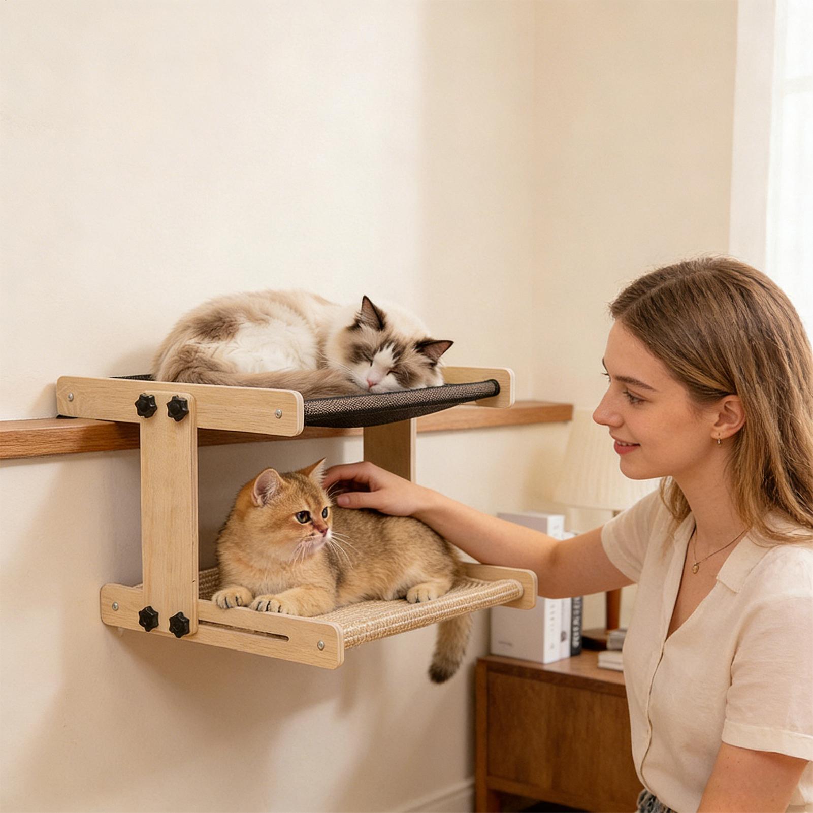 Cat Window Bed Floating Hammoc - Cat Window Perch ulasan dan harga