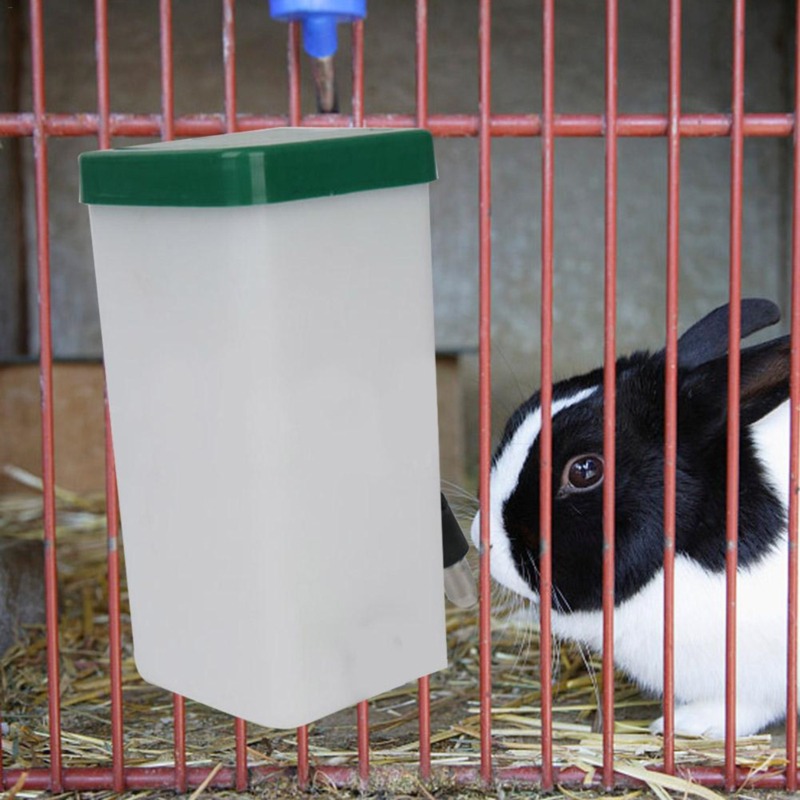 Pet Drinker Water Bottle Dispe - Pet Water Fountain ulasan dan harga