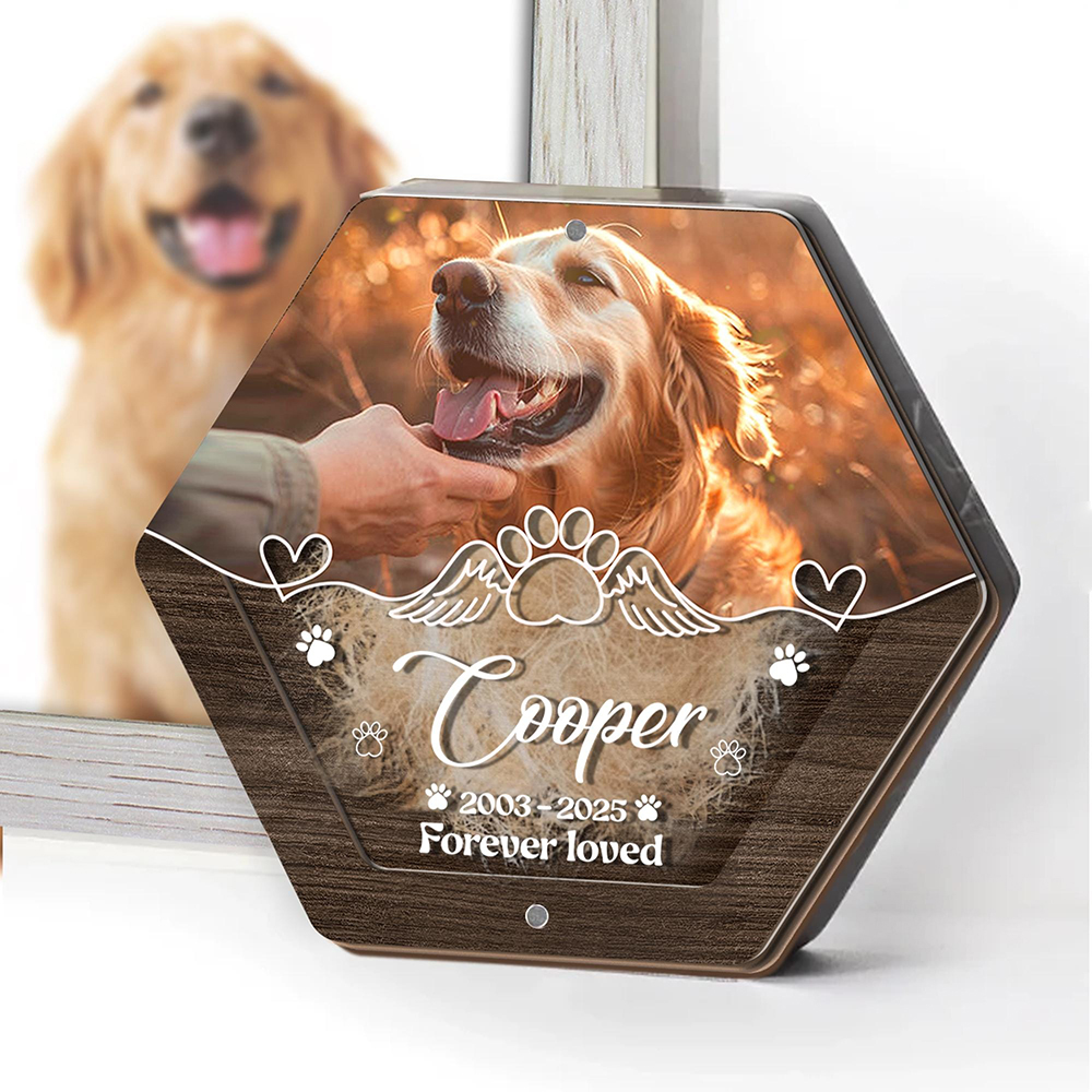 Personalized Name Wooden Carvi - Pet Supplies Store ulasan dan harga