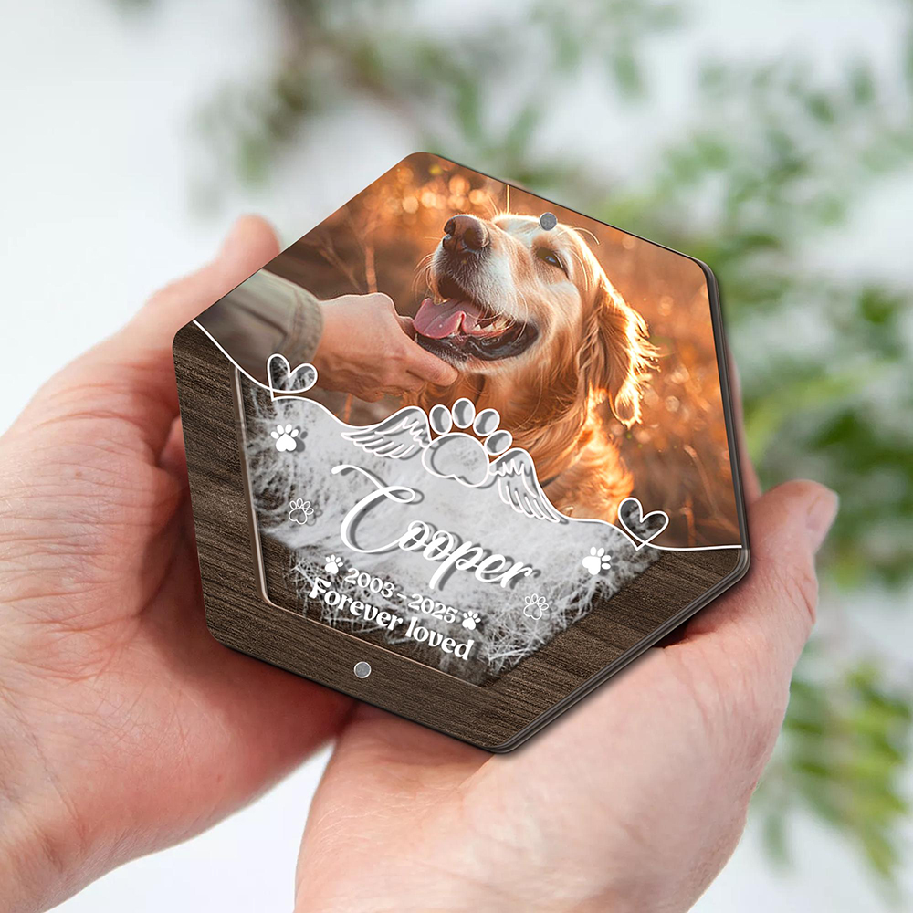 Personalized Name Wooden Carvi - Pet Supplies Store ulasan dan harga