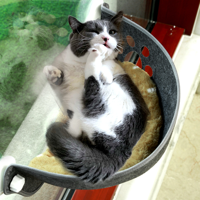 Cat Window bed Mounted Pot Bed - Cat Window Perch ulasan dan harga