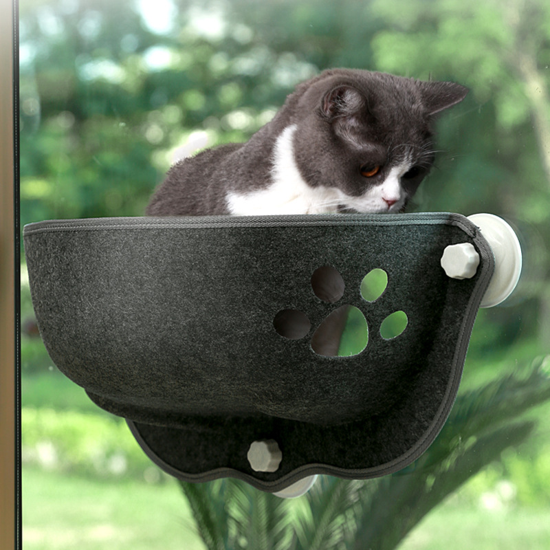 Cat Window bed Mounted Pot Bed - Cat Window Perch ulasan dan harga