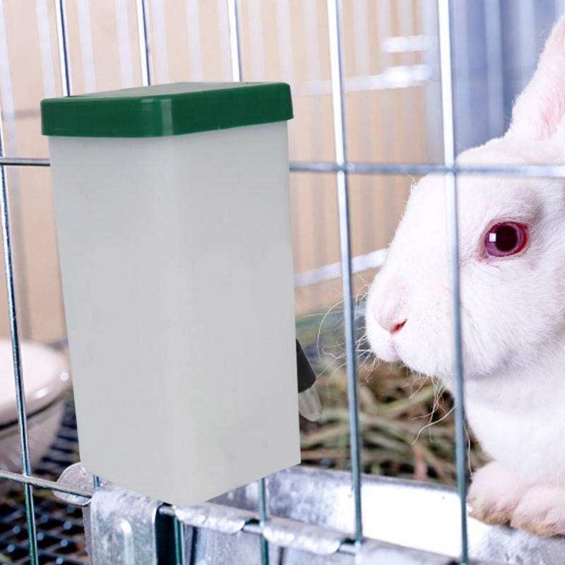 Creative Rabbit Water Dispense - Pet Water Fountain ulasan dan harga