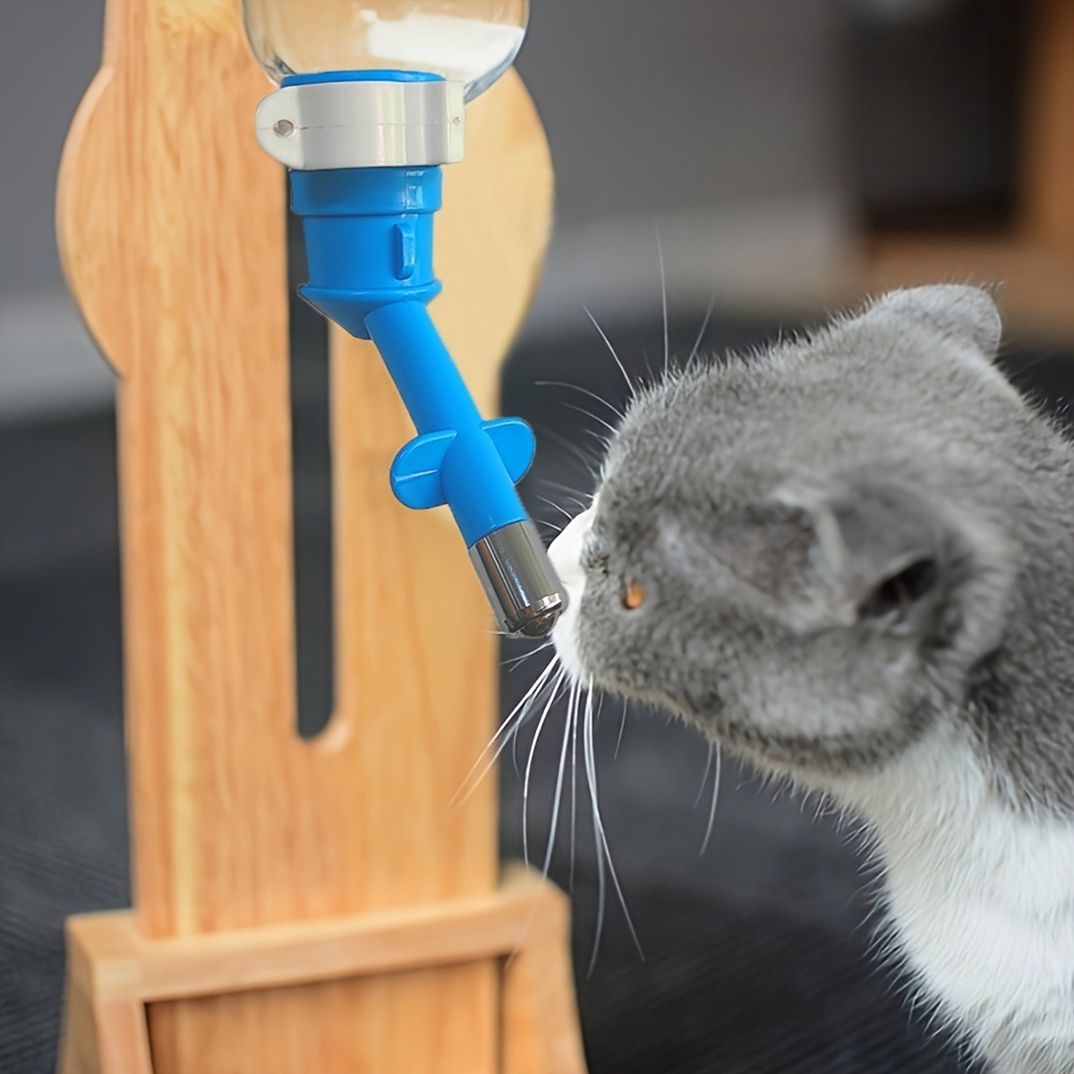 Ball-type Drinking Fountains P - Pet Water Fountain ulasan dan harga