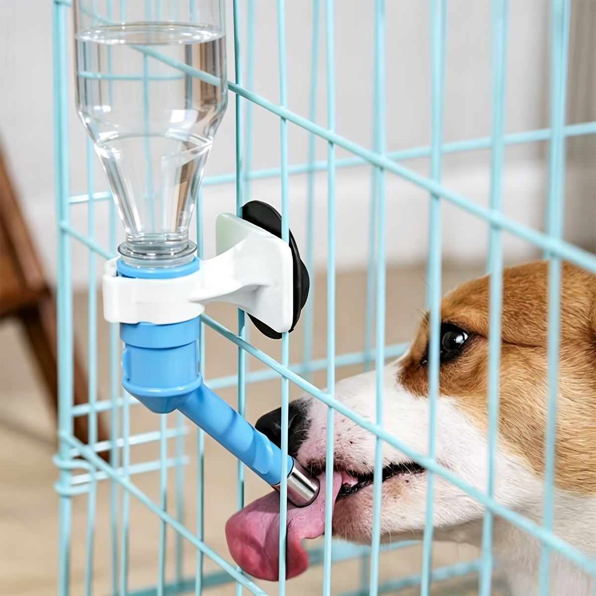 Ball-type Drinking Fountains P - Pet Water Fountain ulasan dan harga