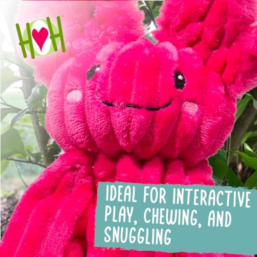 X-Brace Squeaky Dog Toy - Inte - Pet X Supplies & Tack Howell Mi ulasan dan harga