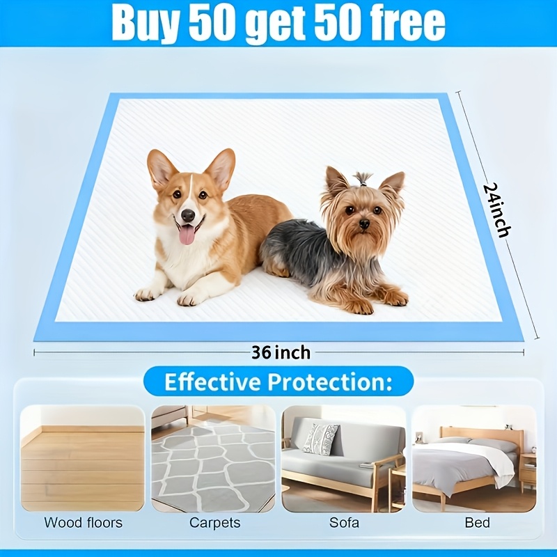 100 Extra Large Disposable Abs - Pet X Supplies & Tack Howell Mi ulasan dan harga