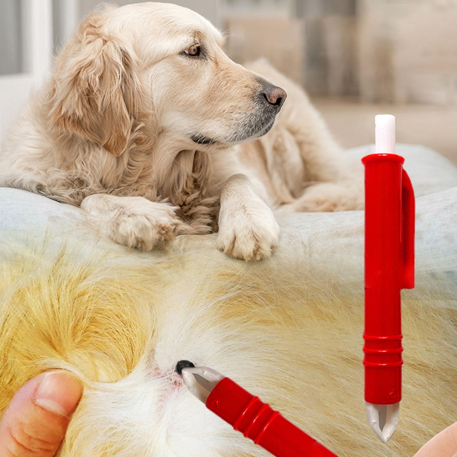 4 pcs Tick Remover Kit Tick Re - Pet Supplies Dropshipping ulasan dan harga
