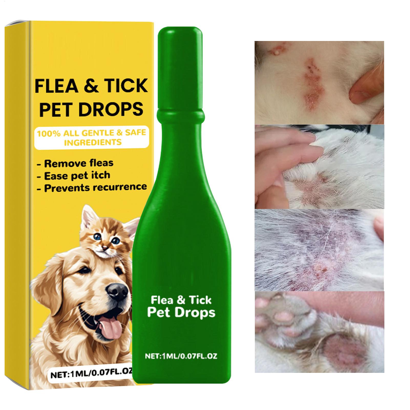 Cat Anti Flea Drops Flea Lice  - Pet Supplies Dropshipping ulasan dan harga